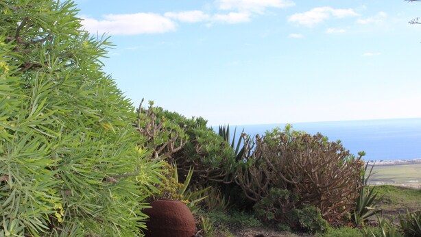 A rocky terrain with various plants and a view of the ocean. - Sweet Tabaiba Suite - casita con vistas al mar, terraza privada y Wi-Fi (La Asomada)