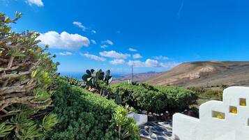 Un paysage composé de cactus et d’arbustes, un mur blanc avec des fenêtres, et une vue sur la mer et les collines.