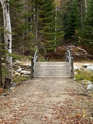 A wooden bridge with metal railings in a forested area.