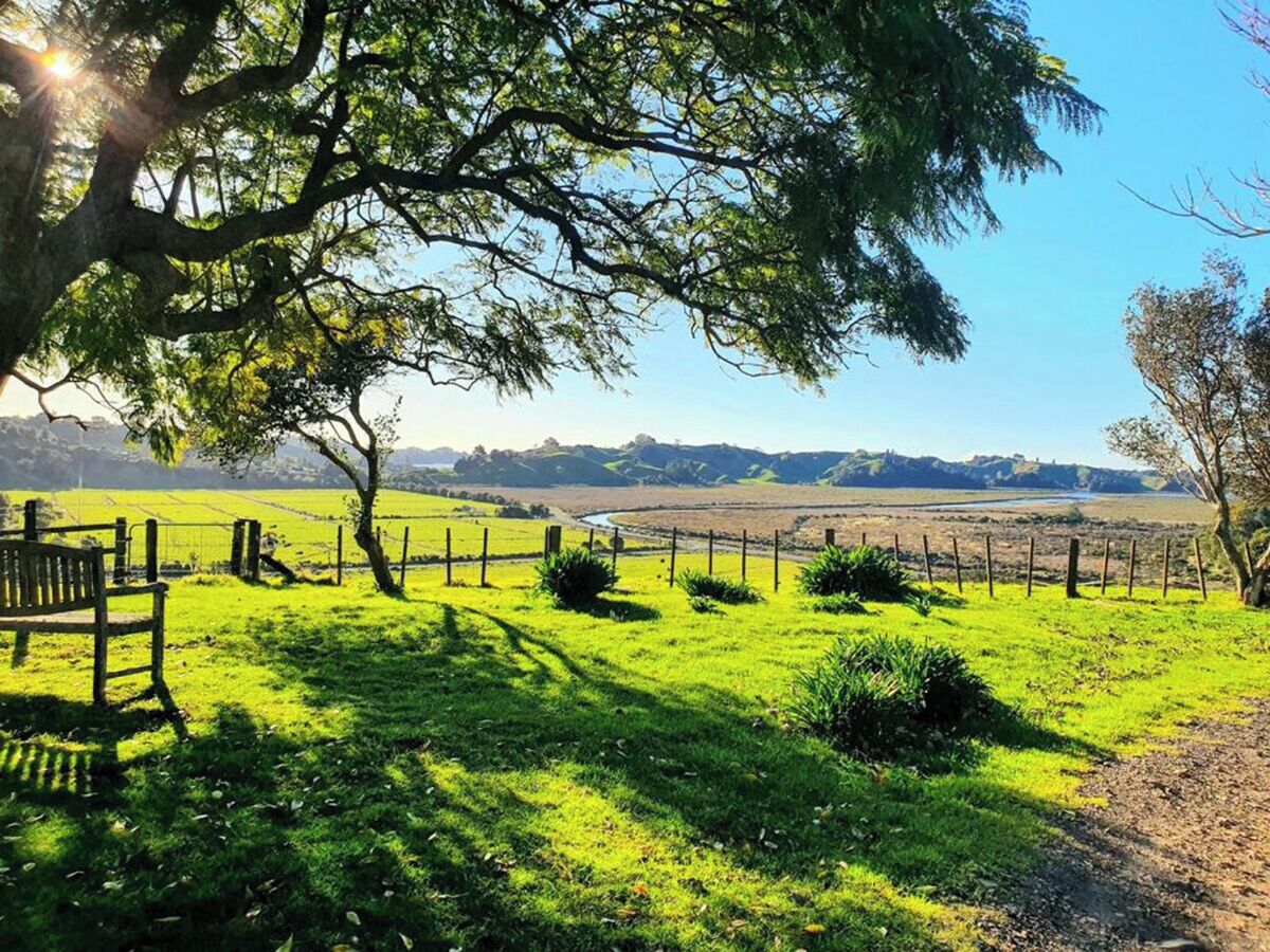 A grassy field with a wooden bench, a fence, and a tree.