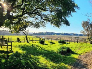 Un campo cubierto de césped con un banco de madera, una valla y un árbol.