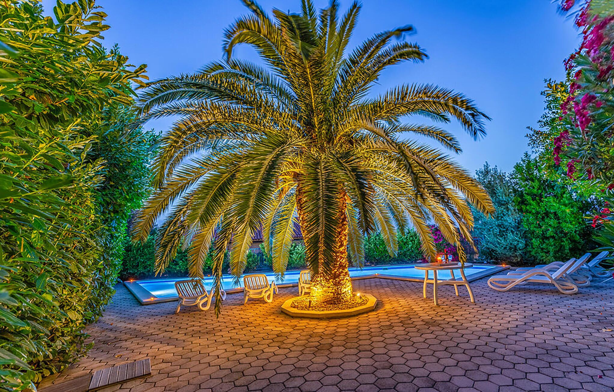 حمام سباحة