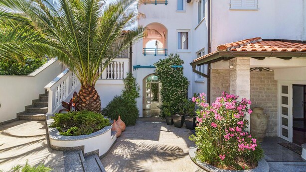 A courtyard with a palm tree, potted plants, and a building with a tiled roof. - Stunning apartment in Pula with swimming pool (Pula)