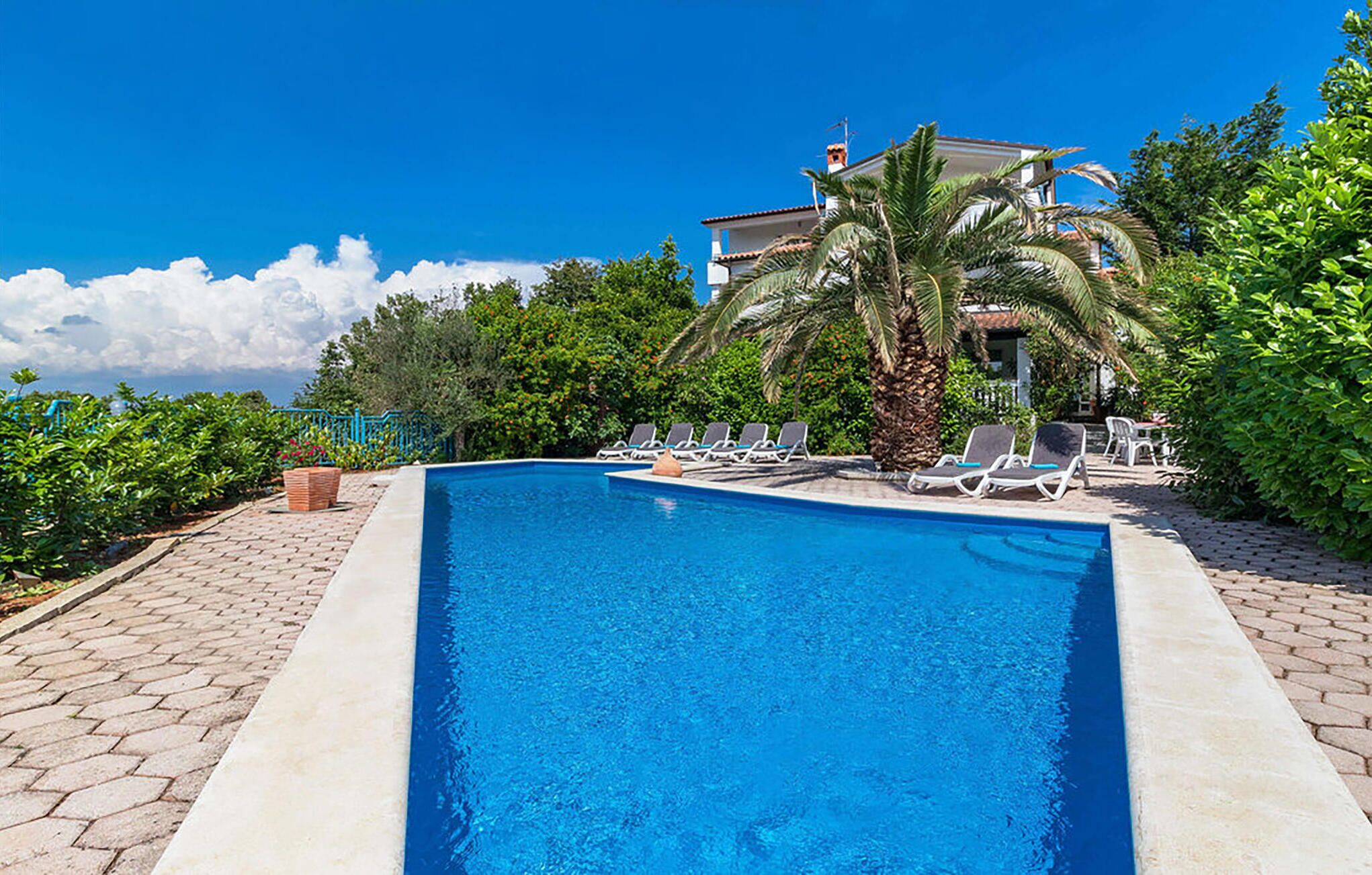 A rectangular swimming pool with a tiled edge, surrounded by lounge chairs and palm trees, with a building in the background.
