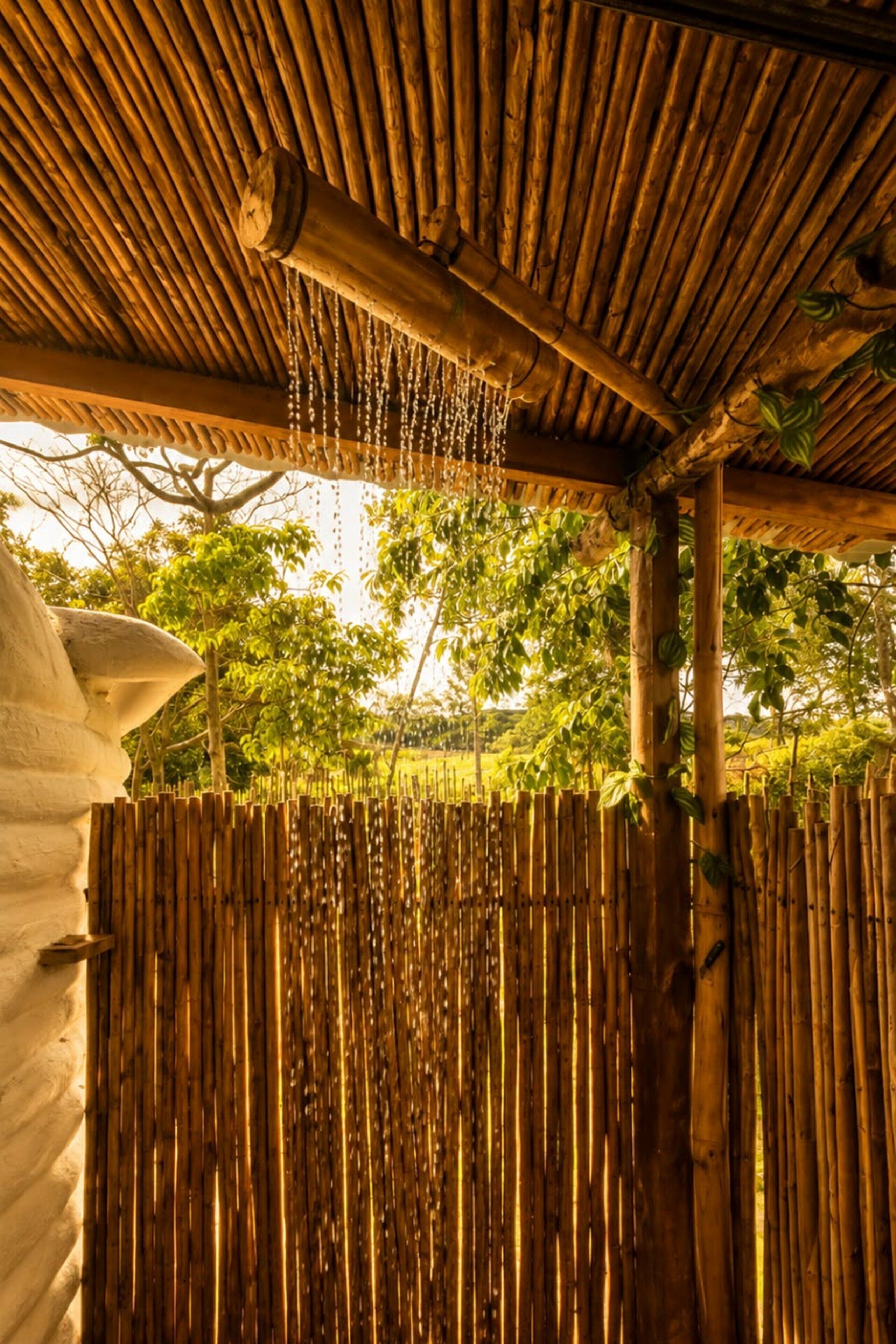 A bamboo fence, a wooden ceiling, and a tree in the background.