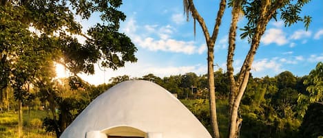 A dome-shaped building with a wooden door, surrounded by lush greenery and two swimming pools.