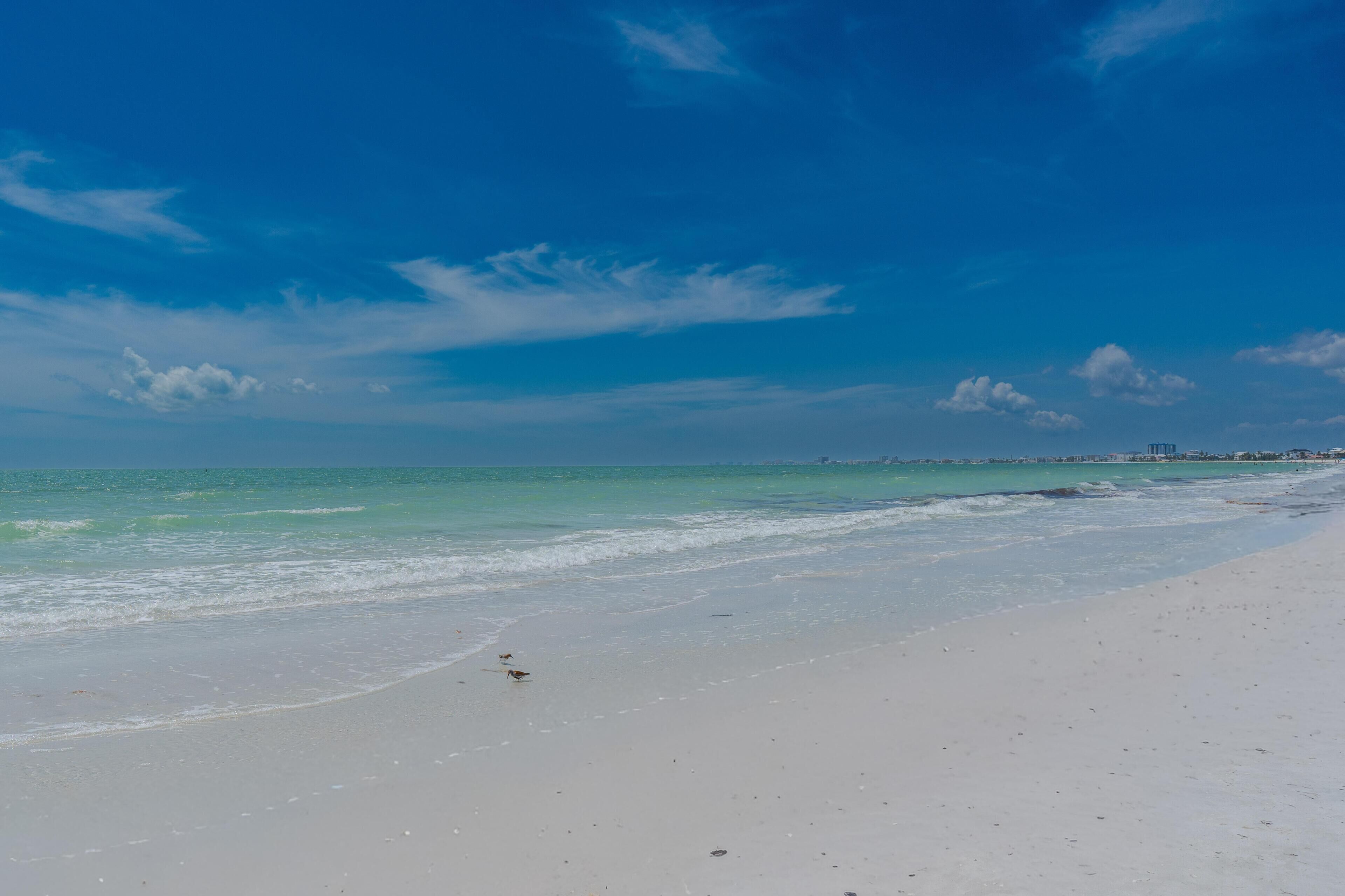 Appartement, 1 kingsize bed (Carlos Pointe #222-Gulf Haven) | Strand | Accommodatie ligt op het strand