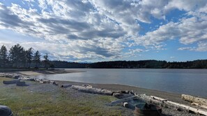 Sun-loungers, beach towels - The Blue Barnacle: Relaxing Island Getaway with Fiber Internet! (Shelton)