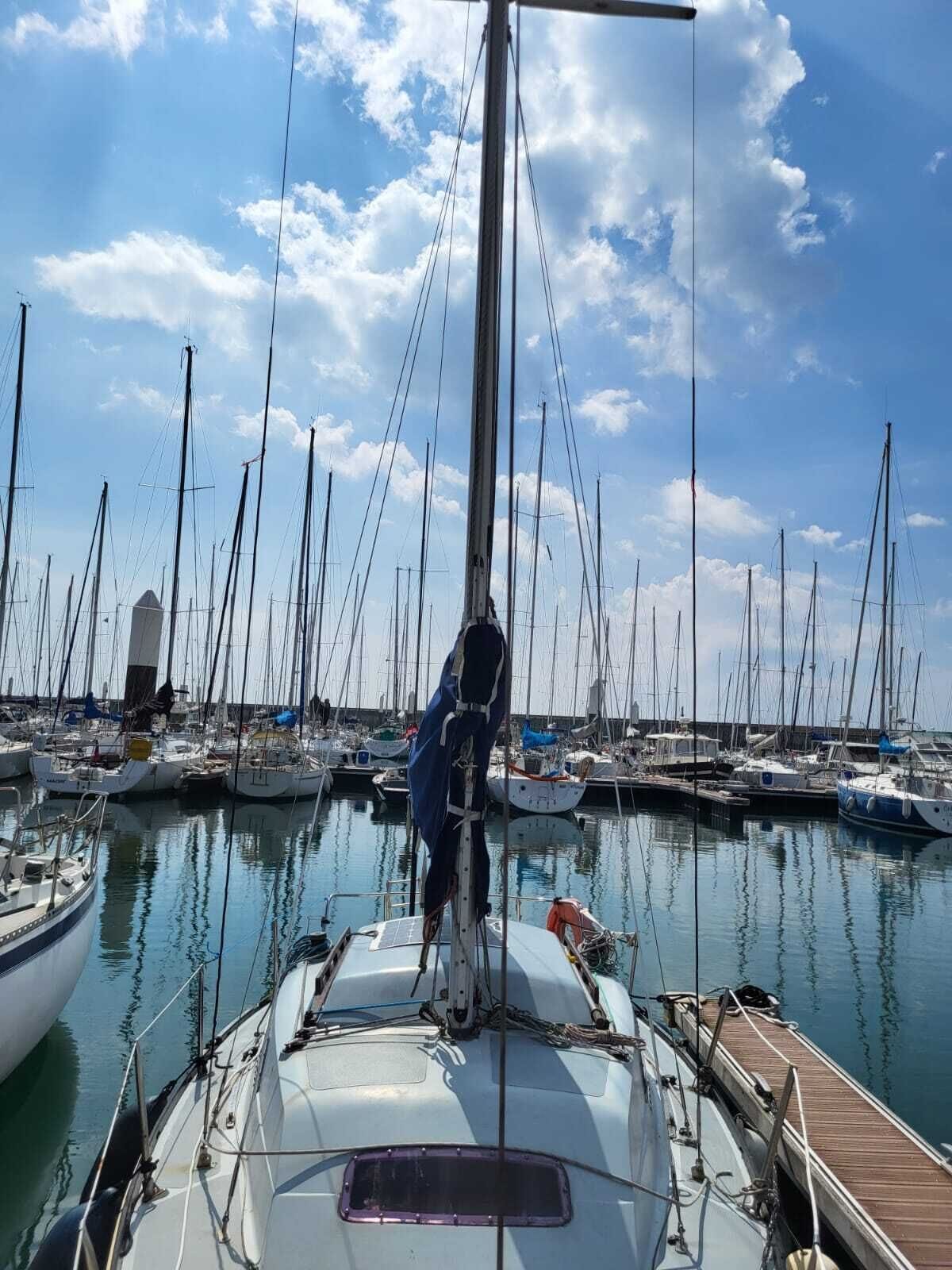 Un puerto deportivo con varios veleros amarrados, una cubierta de madera y cielo despejado.