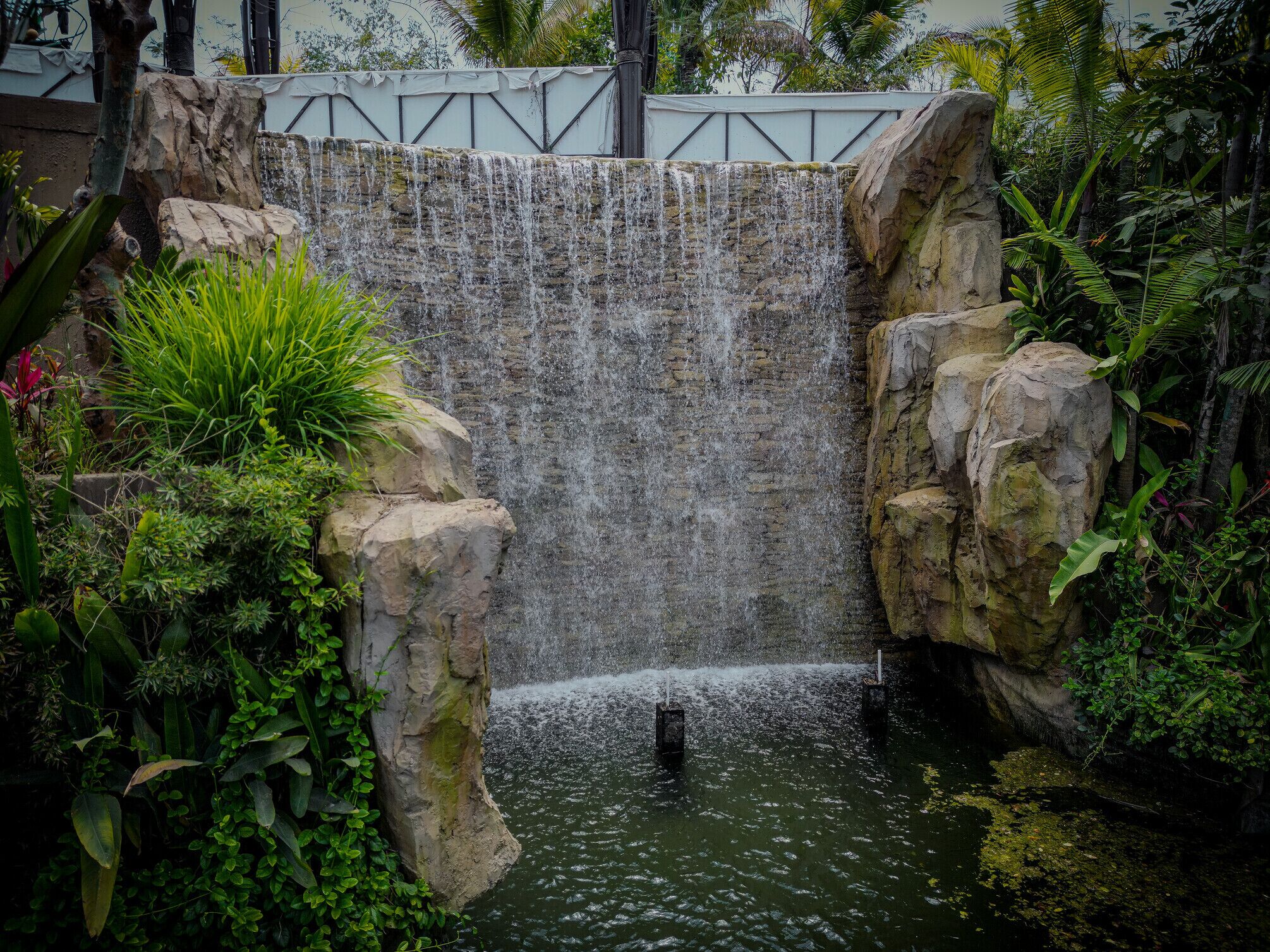 A waterfall cascading over a rocky ledge into a pool, surrounded by lush greenery.