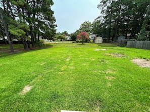 A residential backyard with a lawn, a small shed, and a tree with pink flowers. - Newly Renovated 3BR Home - Near Raleigh - Sleeps 7 (Zebulon)