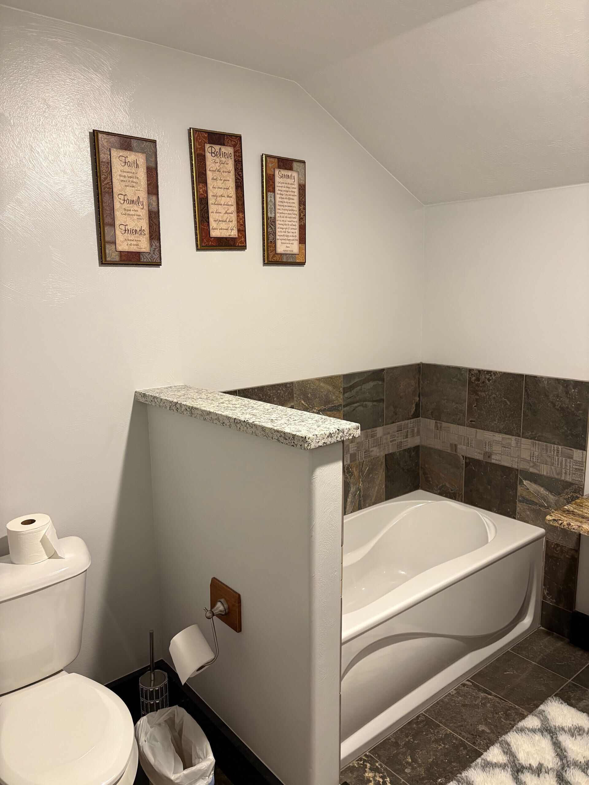 Secadora de cabello, toallas, jabón, papel de baño 
