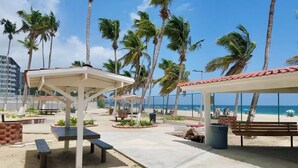 Un patio frente a la playa con asientos al aire libre, palmeras y vista al océano.