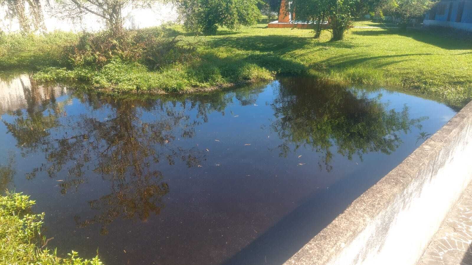 Classic-mökki, patio | Sekalaista