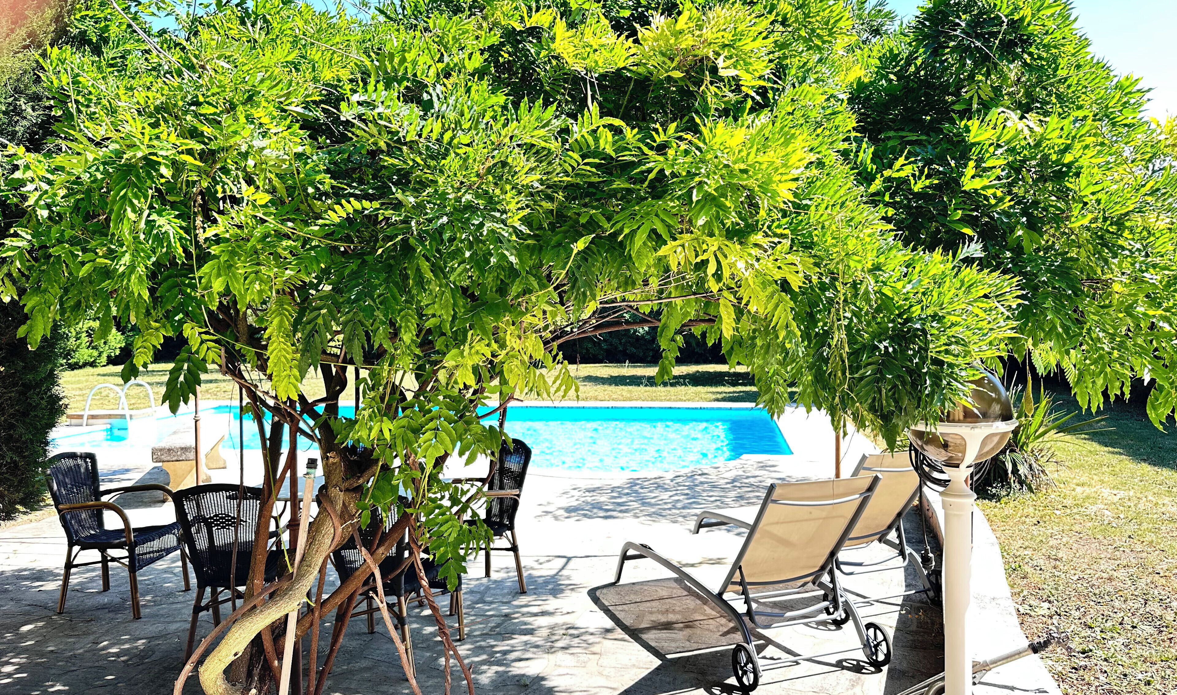 Área à beira da piscina com espreguiçadeiras e um pergolado oferecendo sombra.