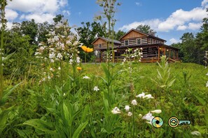 Een houten hutje met een veranda, omgeven door weelderige begroeiing en wilde bloemen.