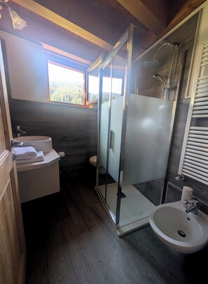 Ein Badezimmer mit Duschkabine, Waschbecken und Toilette.