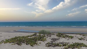 A beach with a clear sky, calm sea, and sparse vegetation.