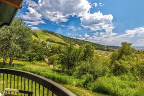 Une vue depuis un balcon donnant sur un paysage verdoyant, avec des arbres et des collines, sous un ciel partiellement nuageux.