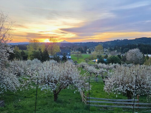 Vista Ridge Retreat 
5-Acre Retreat, Stunning Views, Game Room & Fire Pit.