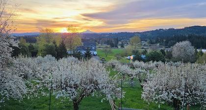 Vista Ridge Retreat
5-Acre Retreat, Stunning Views, Game Room & Fire Pit.