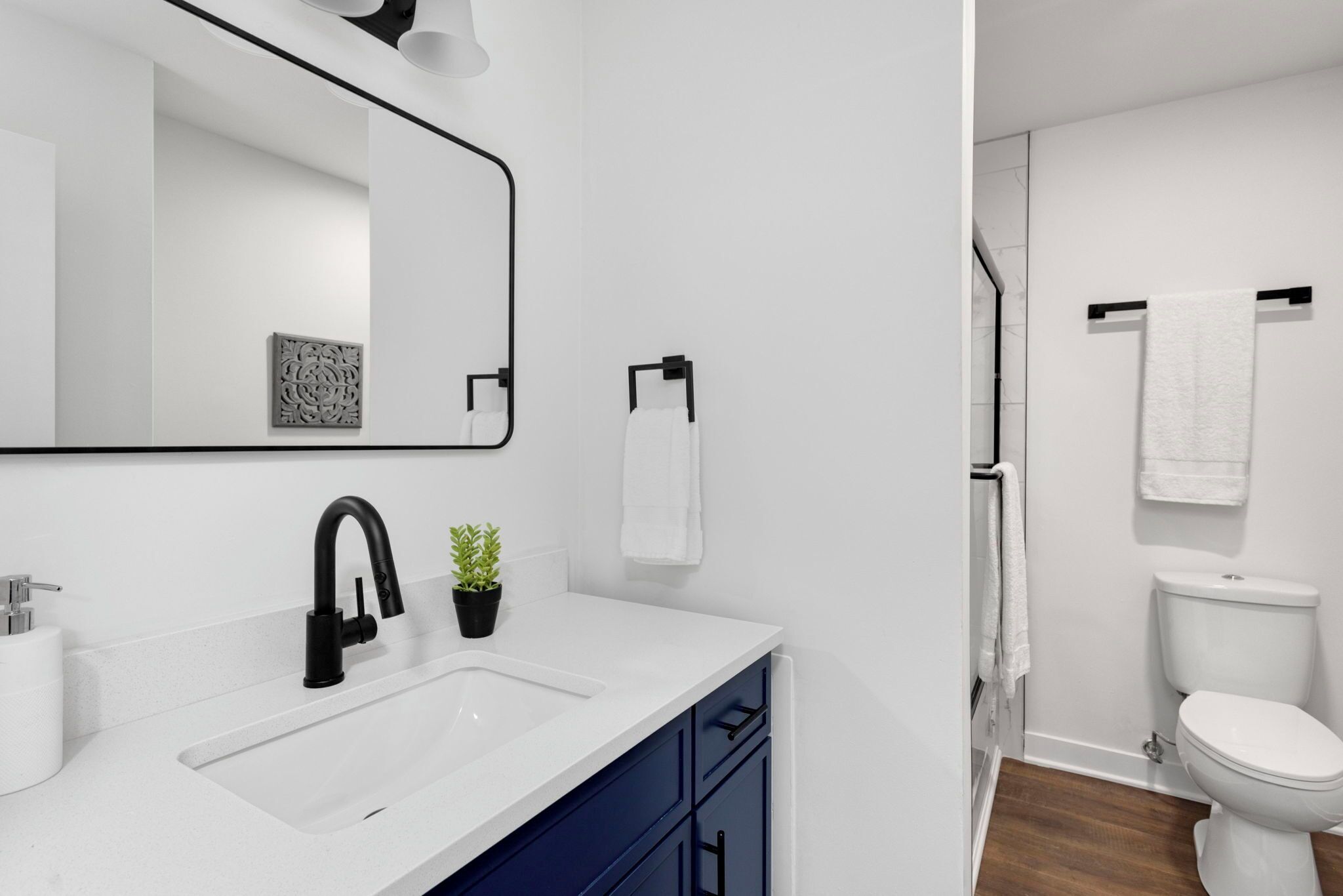 Hair dryer, towels, soap, toilet paper