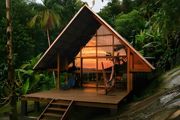 A wooden cabin with a sloped roof, surrounded by dense tropical vegetation.