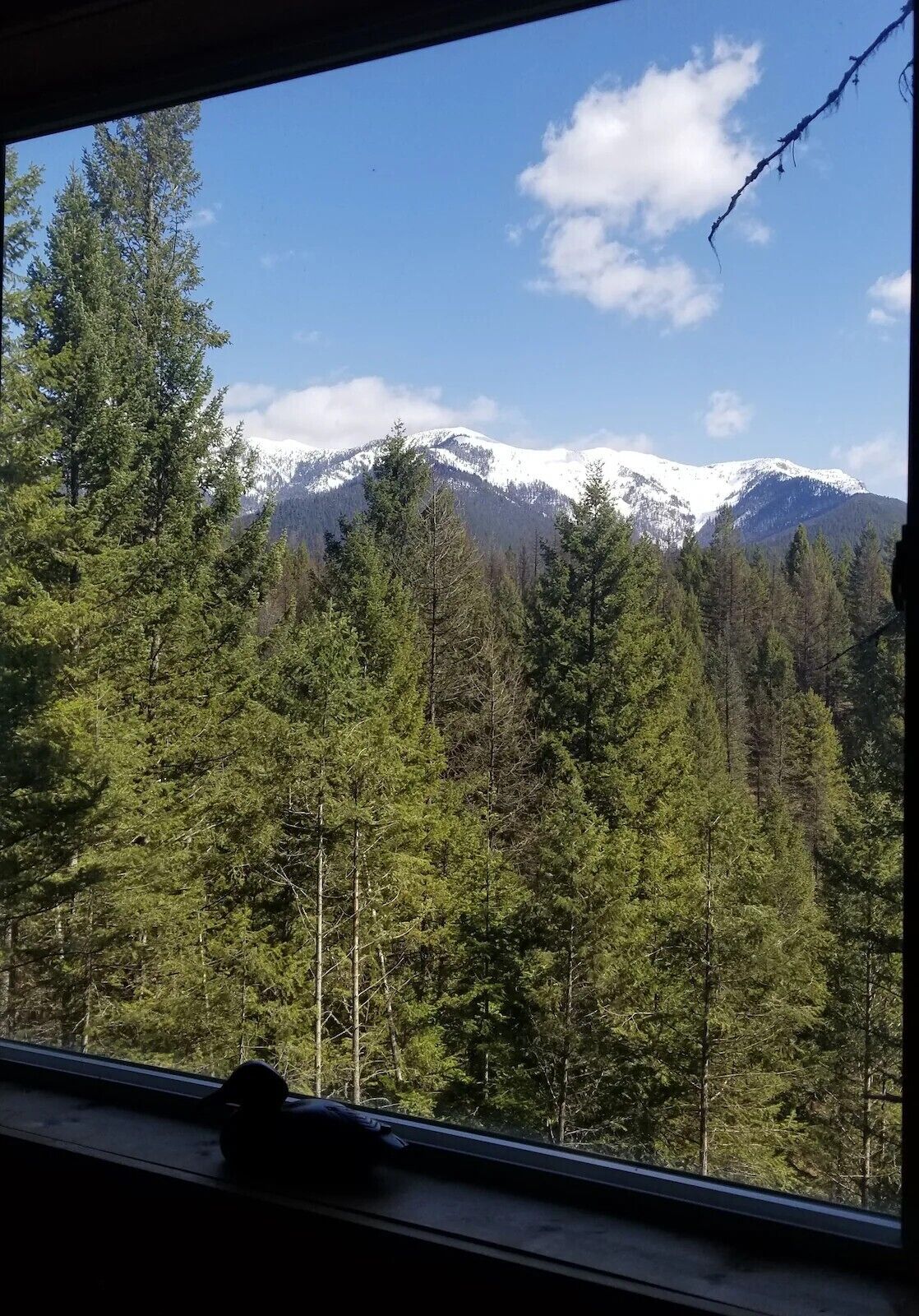 A mountain landscape with snow-capped peaks and dense forest.