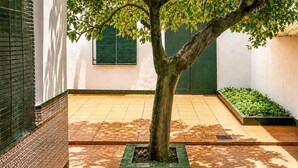 Un cortile con un albero, pavimento in piastrelle, una porta e una finestra con persiane.