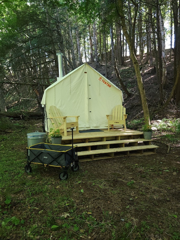 Terrain de l’hébergement 