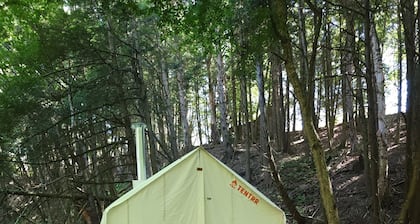 The Diner Camp Site! Walk to hot coffee and homemade pie!