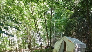 Ein mit Zelten belegter Campingplatz mit Tisch und Stühlen, umgeben von Bäumen.