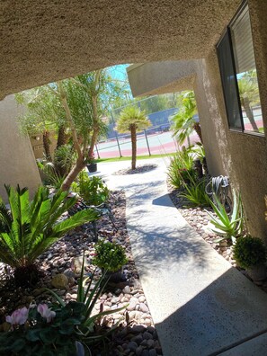 A pathway leading to a building with a textured exterior, surrounded by various plants and a tennis court in the background. - 2-bedroom condo-Fun Colorful-Fabulous Rancho Mirage- AC, pools, hot tubs, tennis (Rancho Mirage)