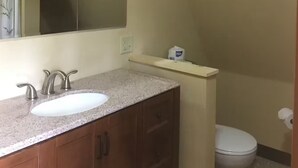 A bathroom with a granite countertop sink, wooden cabinets, a mirror, a toilet, and a shelf with a tissue box.