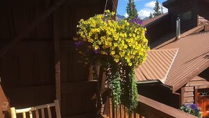 A wooden balcony with a hanging flower basket, a chair, and a bicycle.
