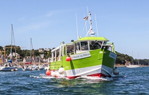 Ein grünes und weißes Boot namens 'Le Passeur du Trieux' auf dem Wasser, im Hintergrund andere Boote und Häuser.