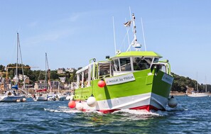 A green and white boat named 'Le Passeur du Trieux' on water with other boats and a coastal town in the background. - Apartment in Lezardrieux (891) (Lezardrieux)