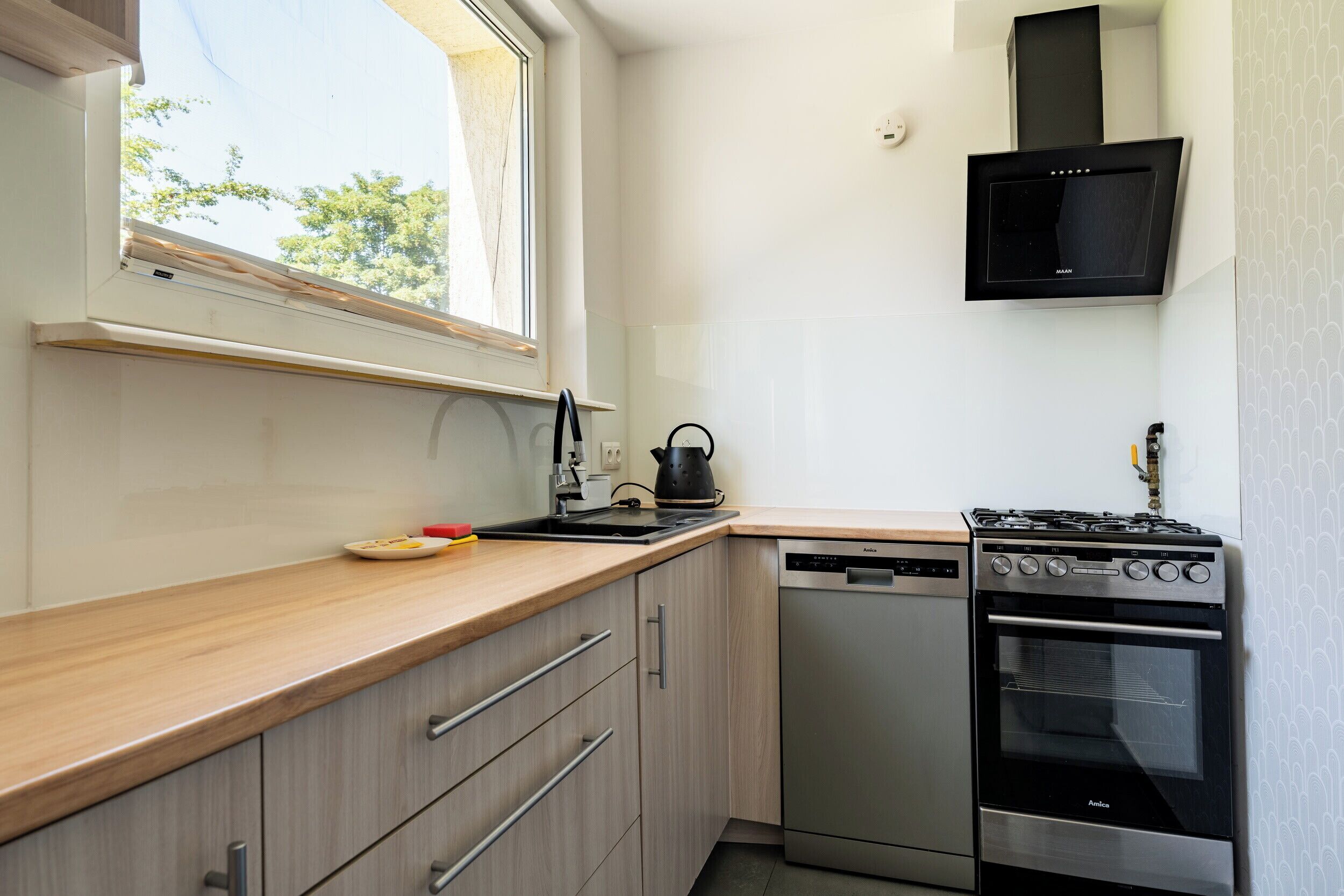 Fridge, oven, stovetop, dishwasher