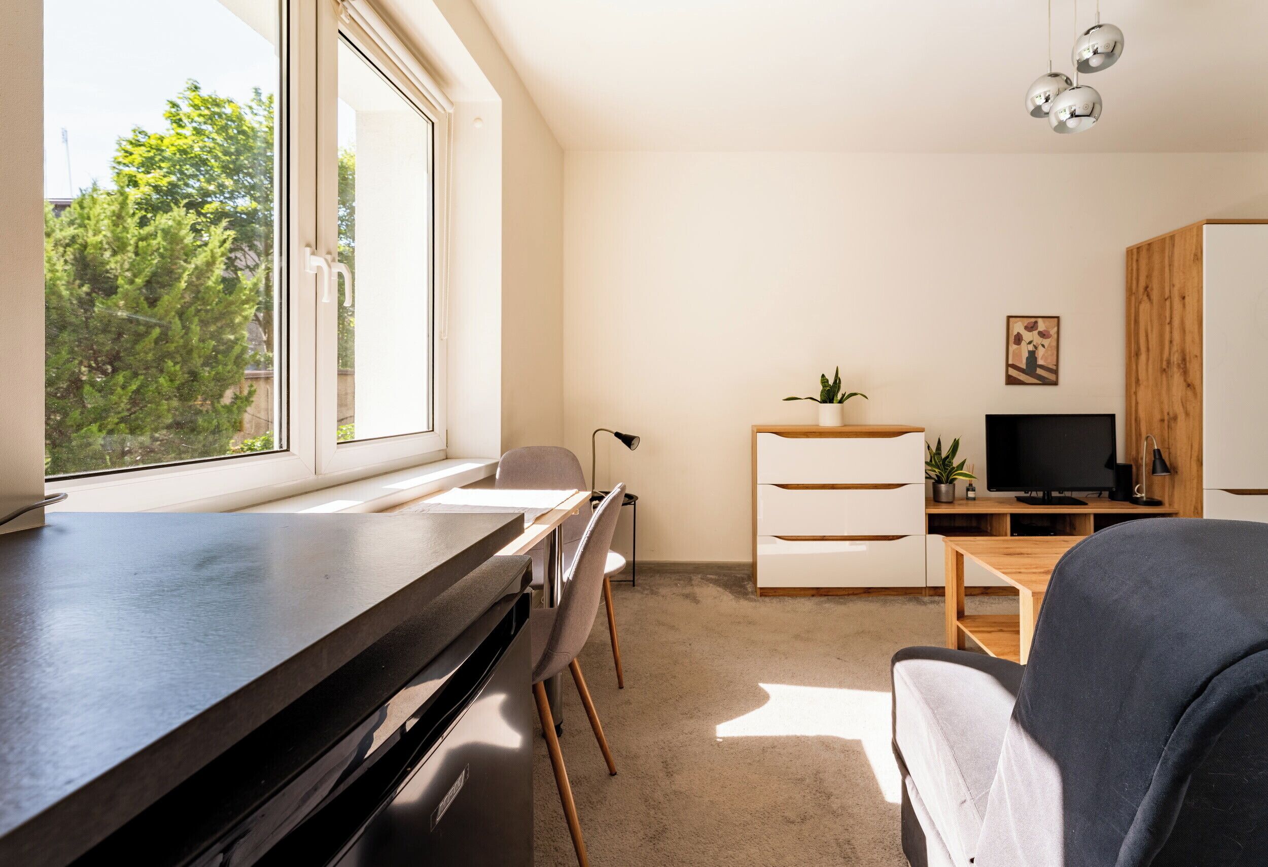 Une chambre moderne équipée d’un bureau, d’une chaise, d’un téléviseur et offrant une vue sur les arbres grâce à de grandes fenêtres.