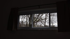 Una finestra con vista su alberi spogli.