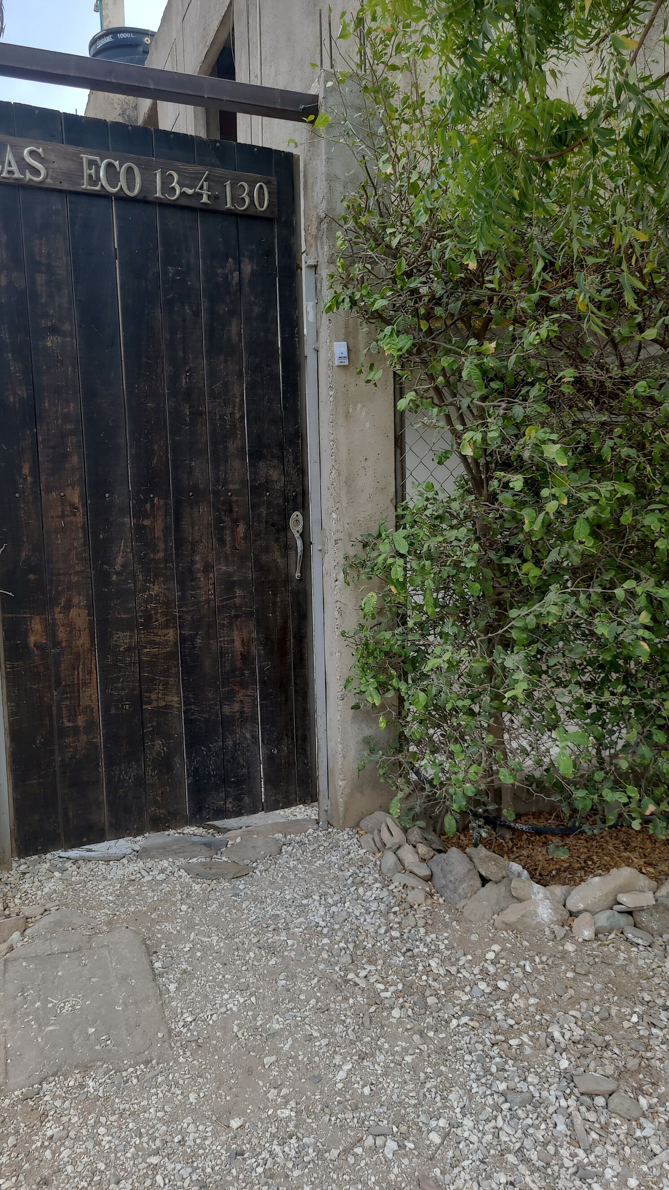 Une porte en bois avec une poignée en métal, un mur en béton et un arbuste aux feuilles vertes.