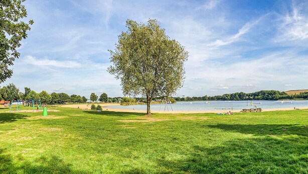 Ein Park mit Rasenfläche, einem Baum und einem See mit Booten.