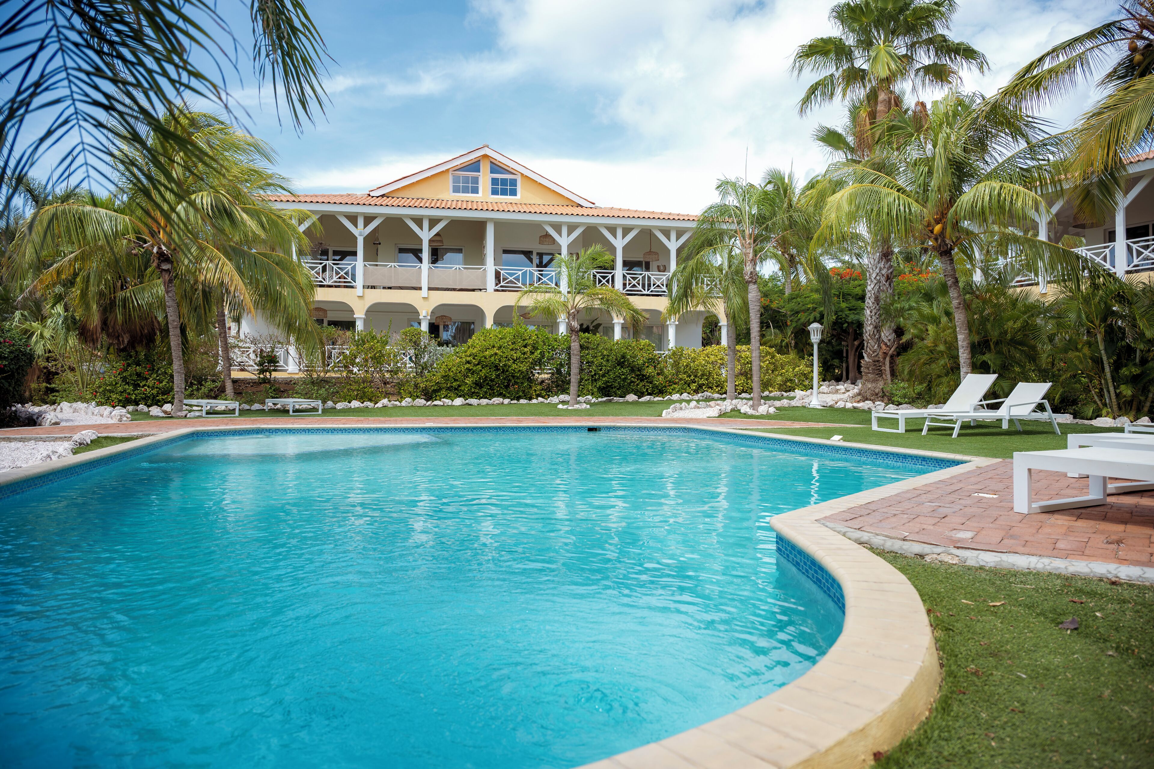 A pool with a curved edge, surrounded by palm trees and a building with balconies.