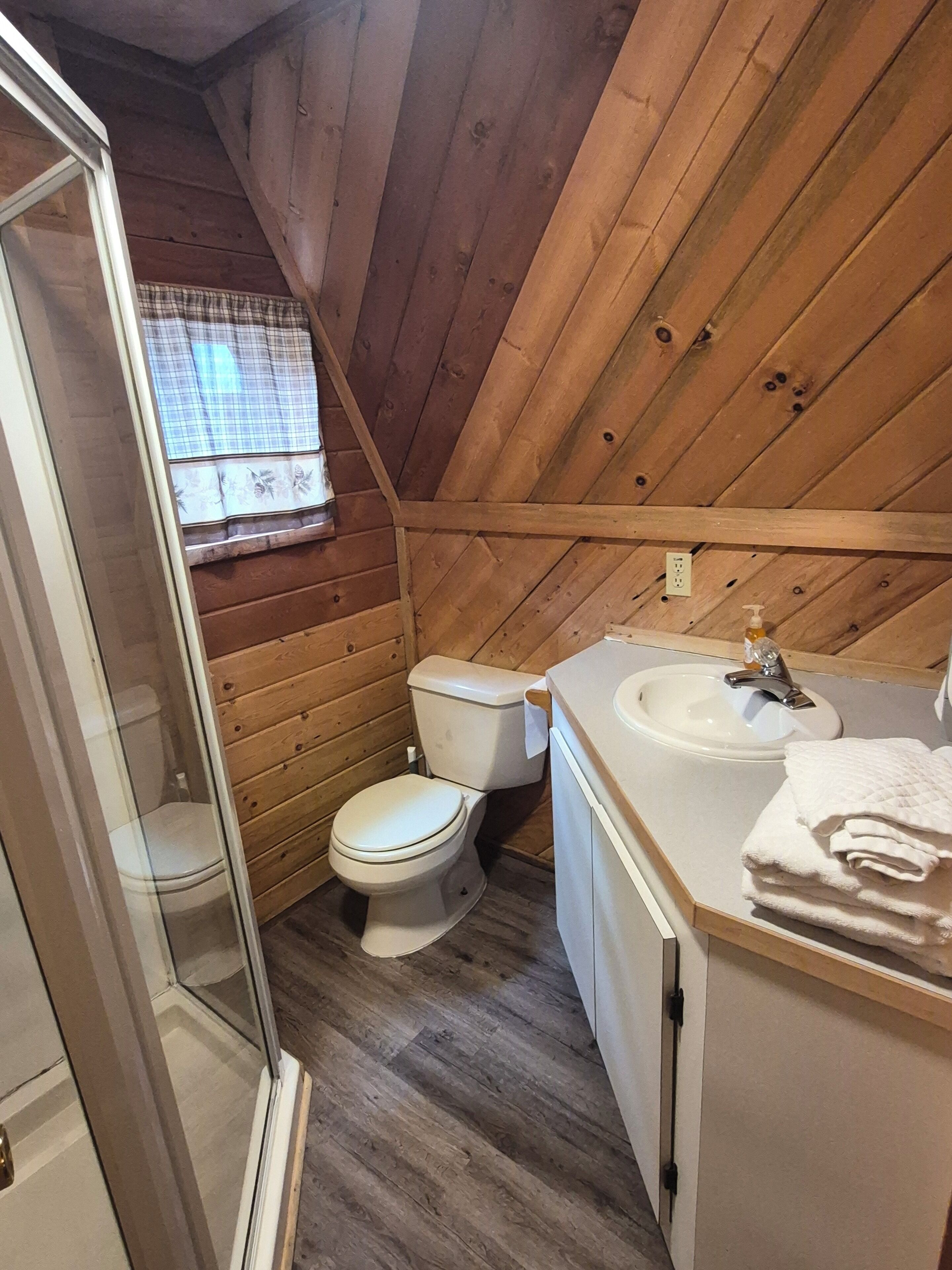 Douche, serviettes fournies, papier de toilette