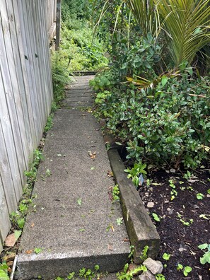 A concrete pathway leading to a wooden fence, surrounded by dense greenery and plants. - Roseneath ‘City Walk’ with Views and Garage/2brm (Wellington)