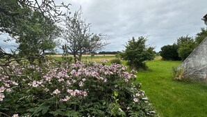 A rural landscape with a field, a stone structure, and a tree. - Enjoy island life in a Sejerø holiday home (Sejerø)