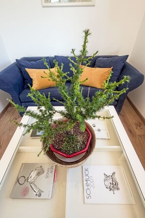 Una planta en test amb una taula de cafè blanca, un llibre anomenat 'SCHIMUCK 2009' i una fotografia amb marc.