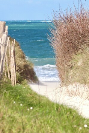 Playa