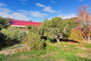 Property grounds - THE GREENERY Castlemaine- whole house comfort + extensive gardens -dog friendly (Castlemaine)