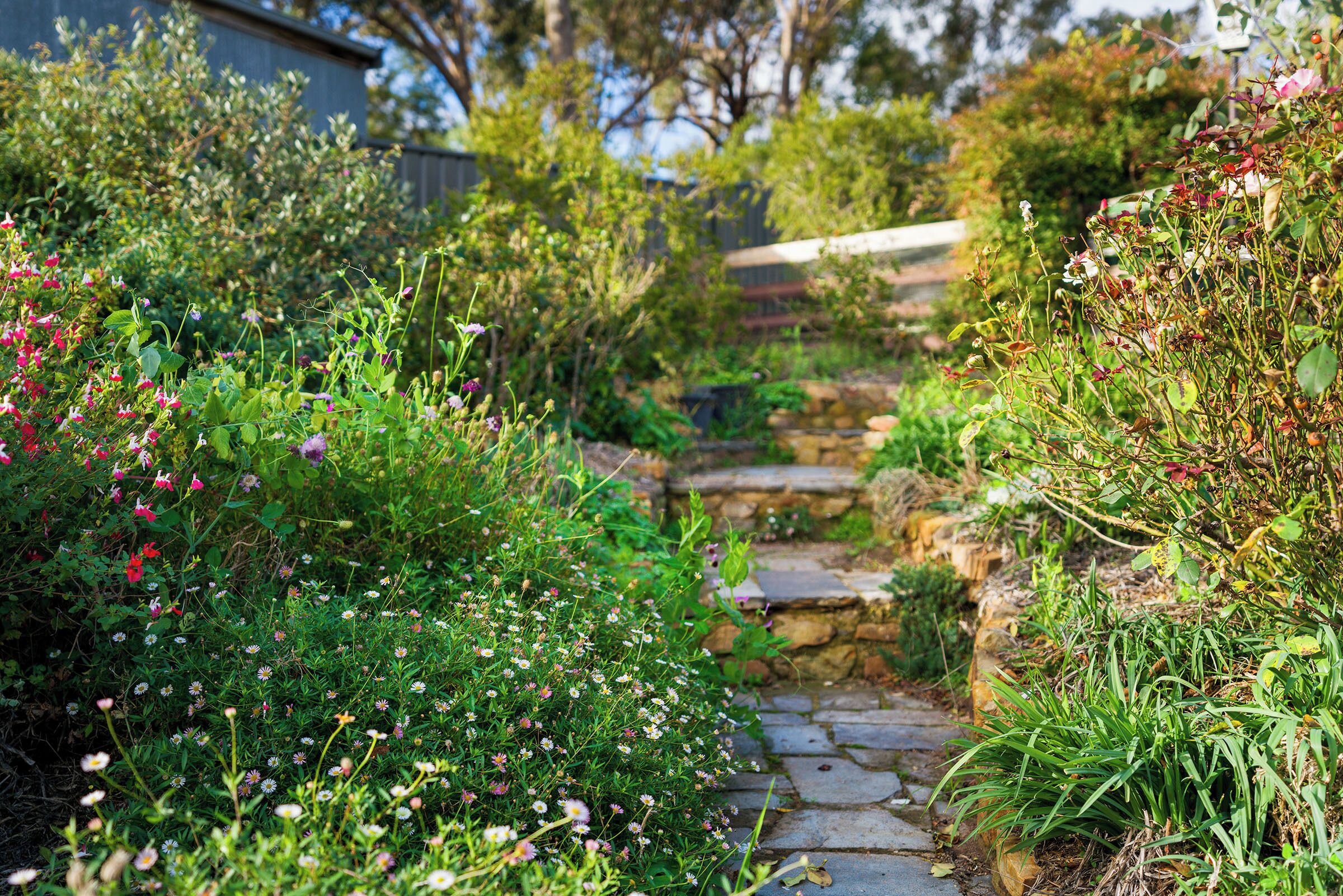 A stone pathway surrounded by lush greenery and various flowering plants.